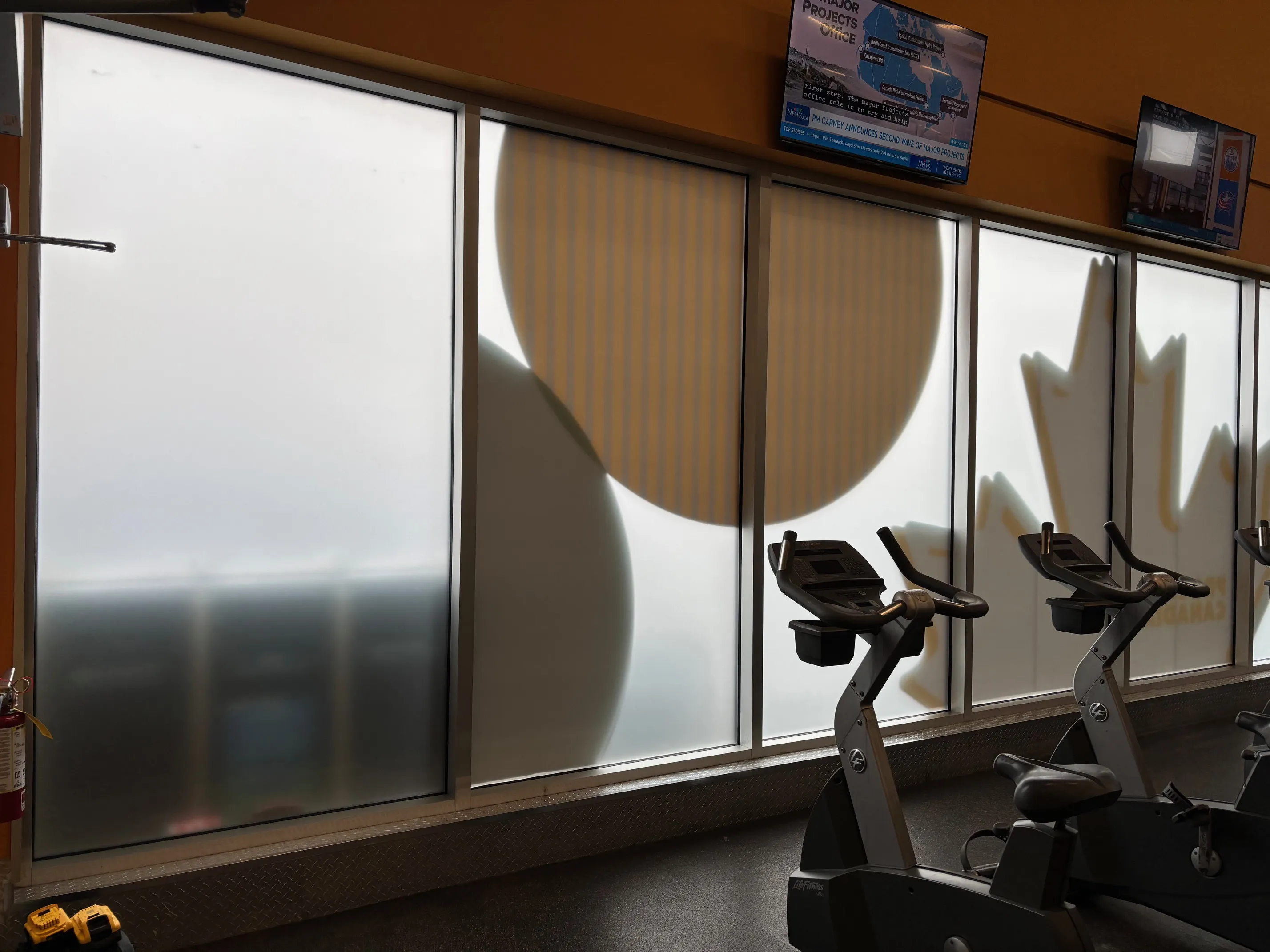 Fit4Less after — interior privacy film with maple leaf branding, seen from the cardio floor